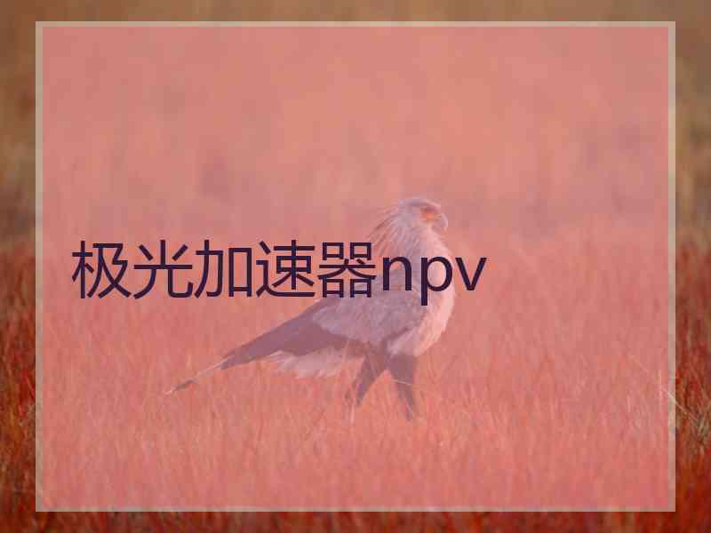 极光加速器npv