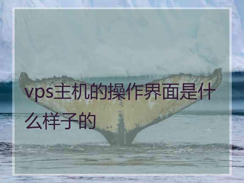 vps主机的操作界面是什么样子的