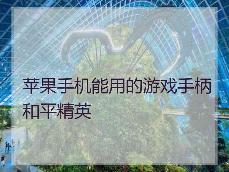 苹果手机能用的游戏手柄和平精英