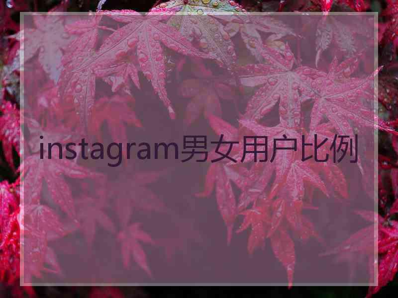 instagram男女用户比例