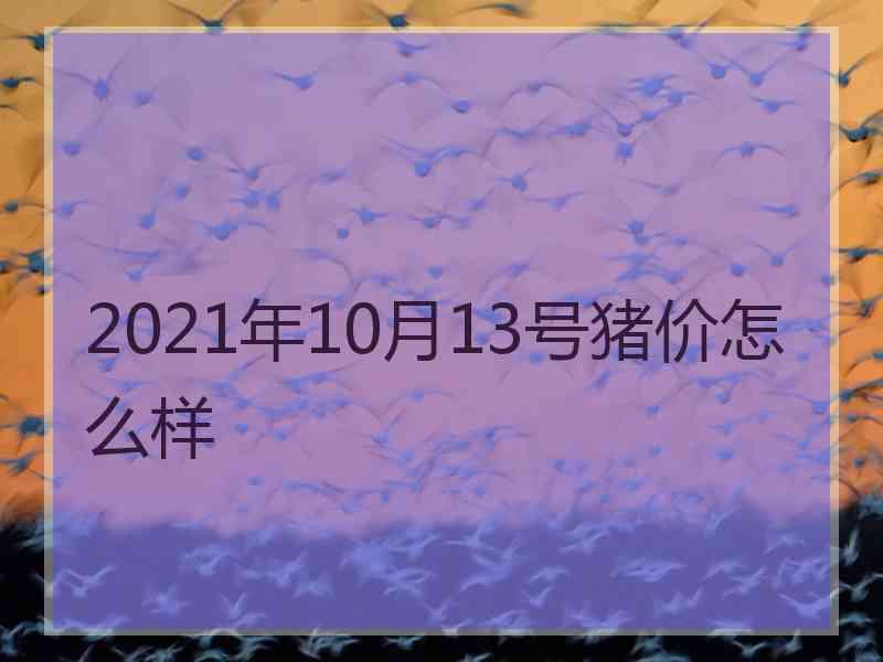 2021年10月13号猪价怎么样