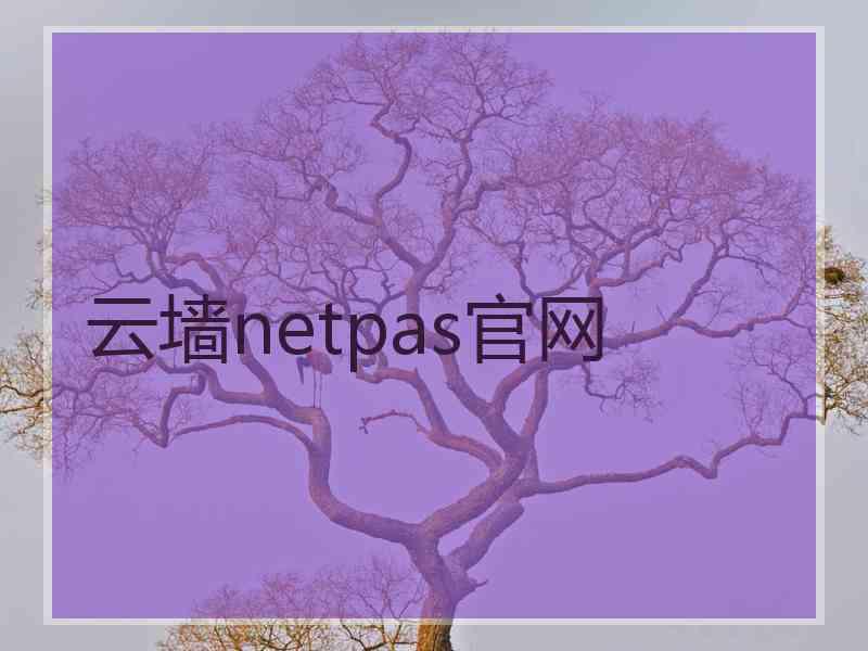 云墙netpas官网