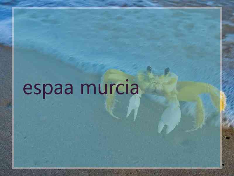 espaa murcia