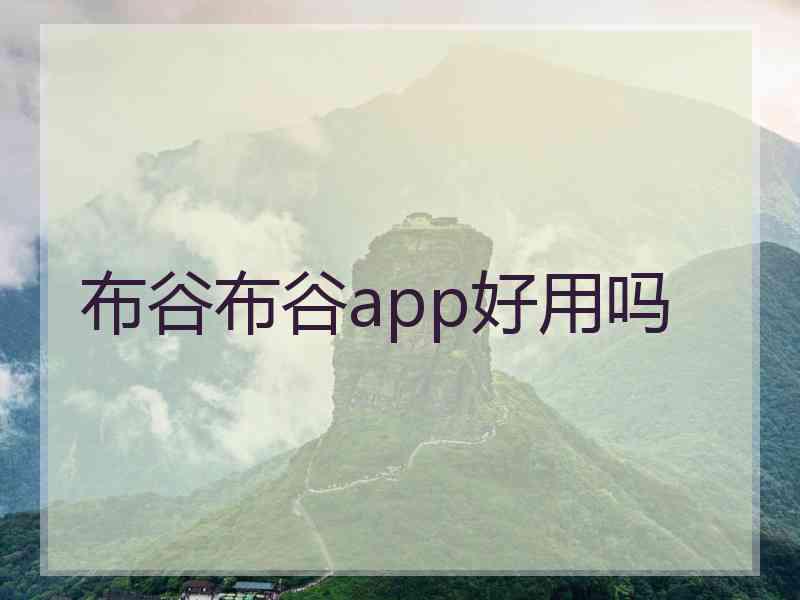 布谷布谷app好用吗