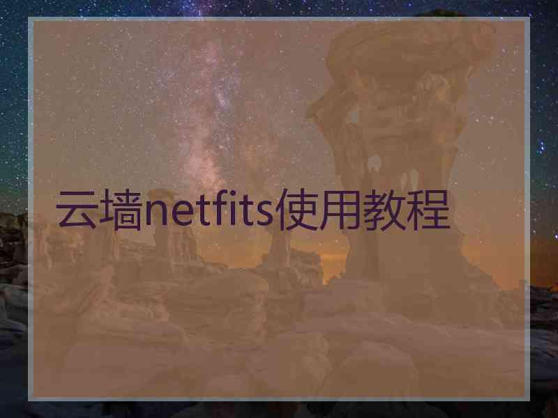 云墙netfits使用教程