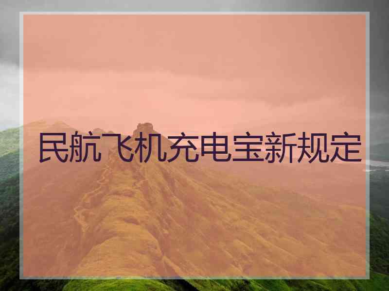 民航飞机充电宝新规定