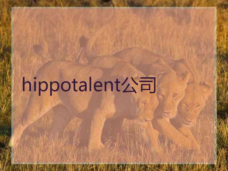 hippotalent公司