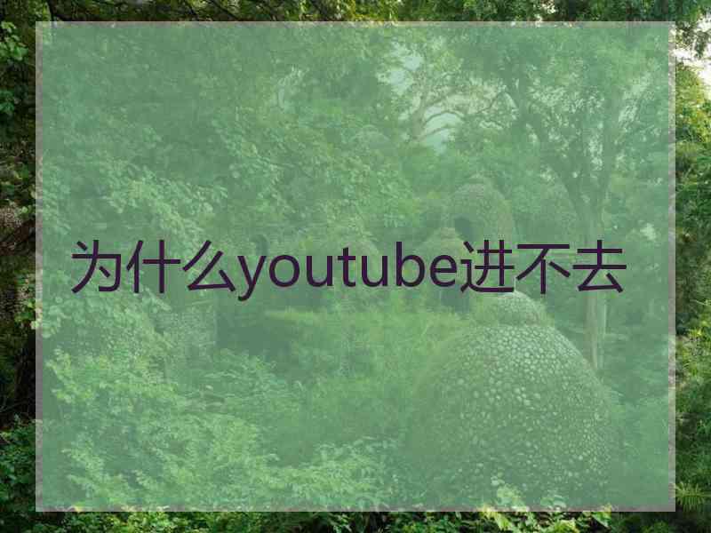 为什么youtube进不去