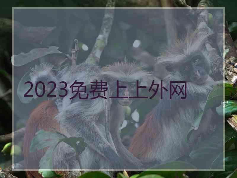 2023免费上上外网