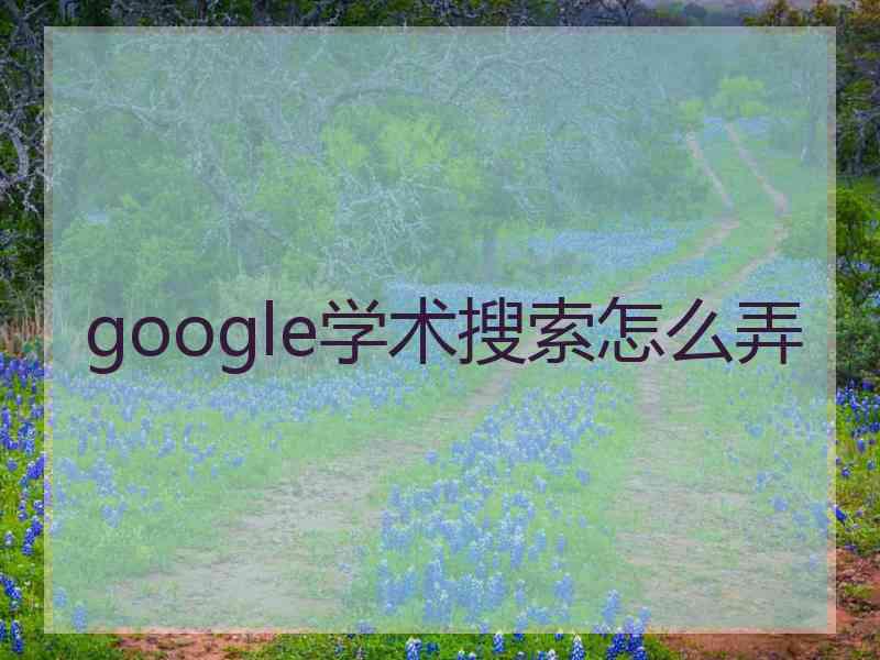 google学术搜索怎么弄