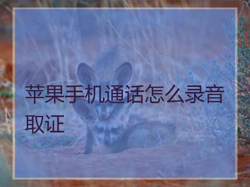 苹果手机通话怎么录音取证