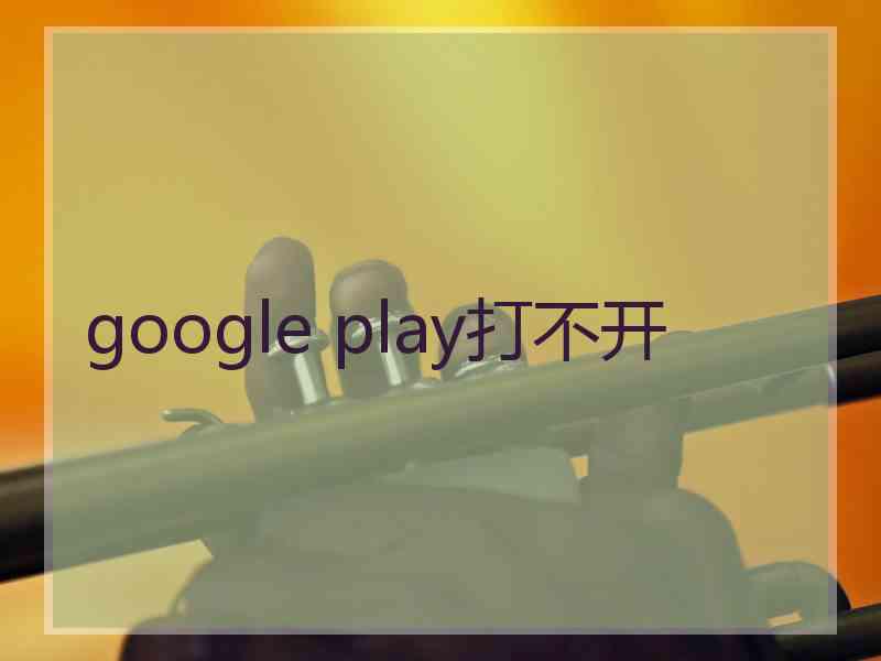 google play打不开