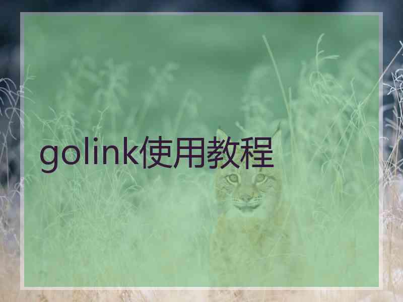 golink使用教程