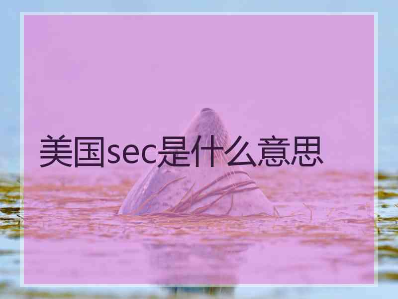 美国sec是什么意思