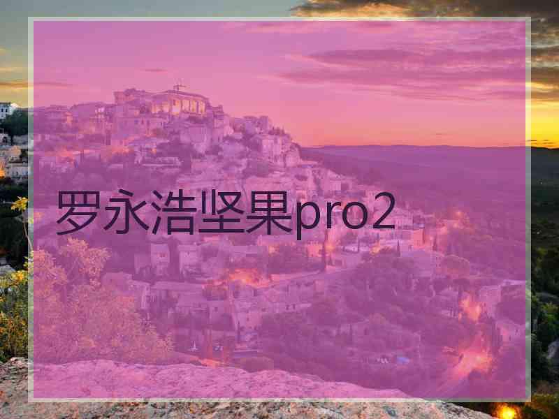 罗永浩坚果pro2