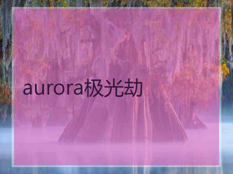 aurora极光劫