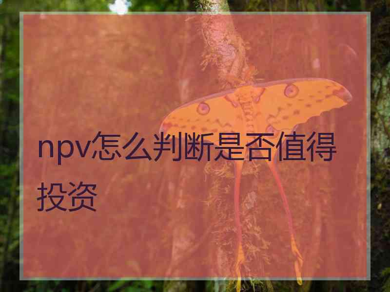 npv怎么判断是否值得投资