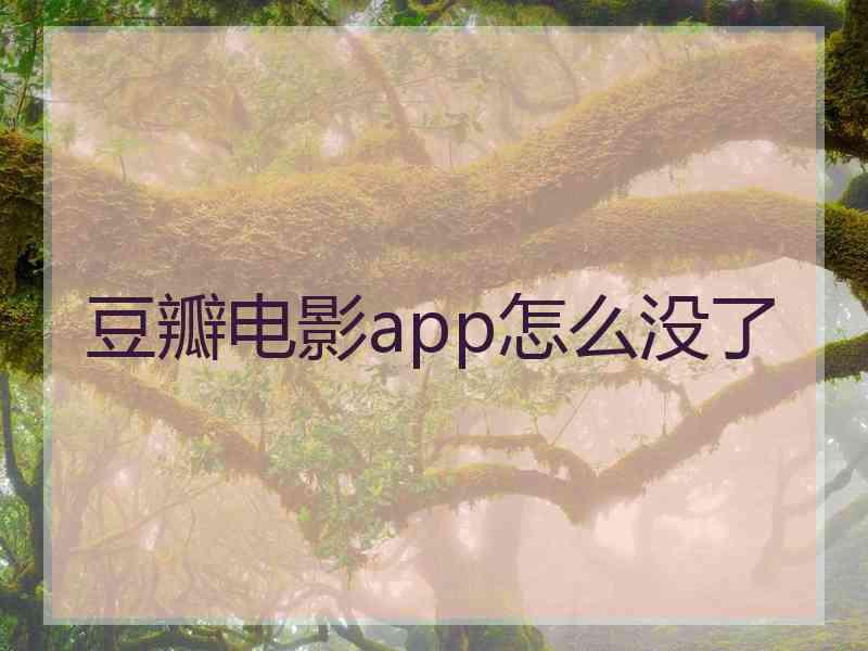 豆瓣电影app怎么没了