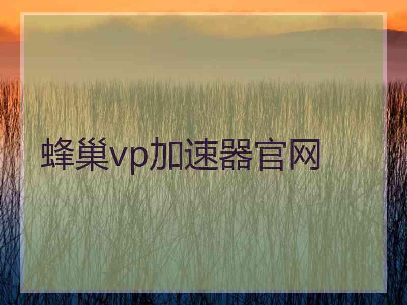 蜂巢vp加速器官网