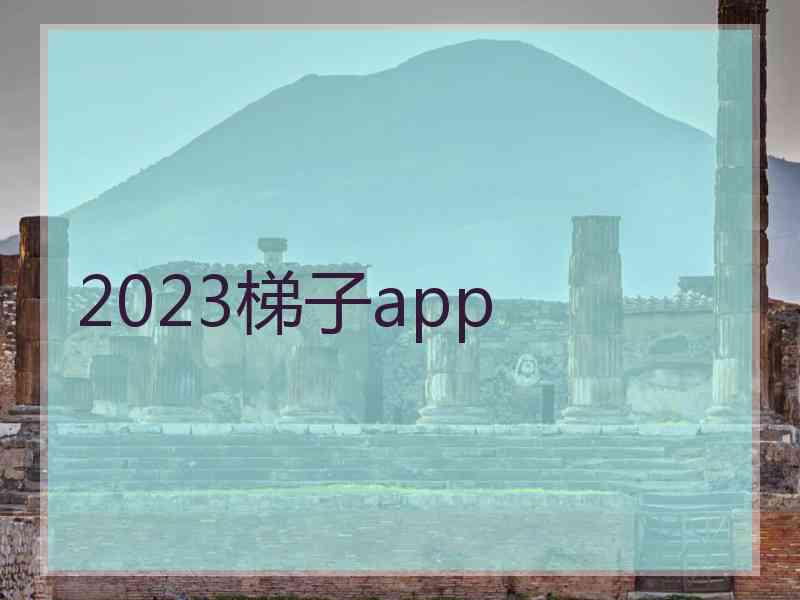 2023梯子app