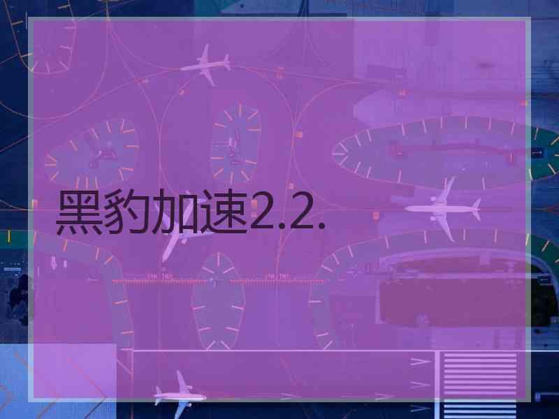 黑豹加速2.2.