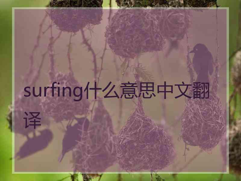 surfing什么意思中文翻译