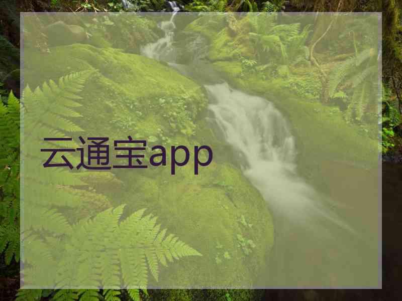 云通宝app