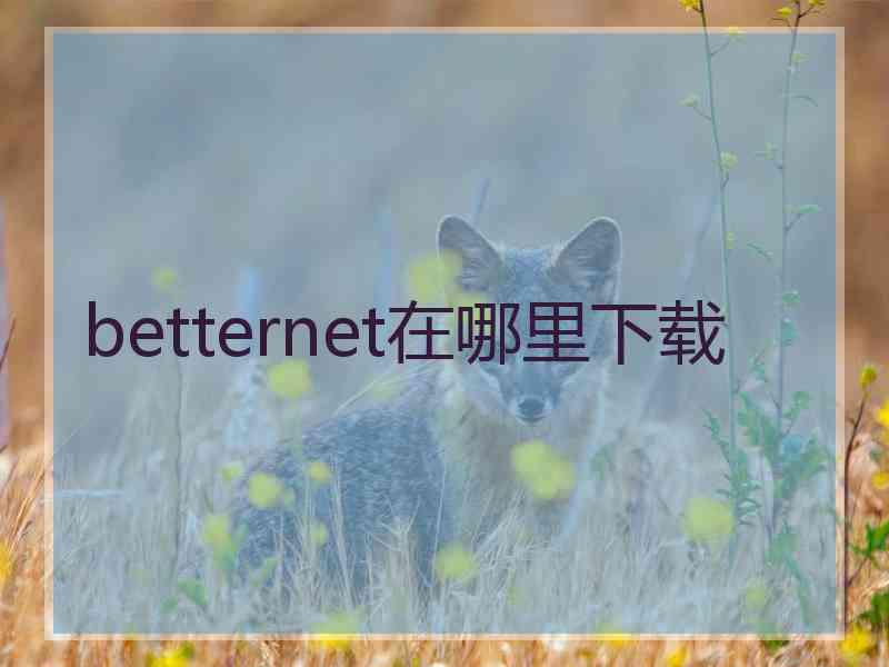 betternet在哪里下载