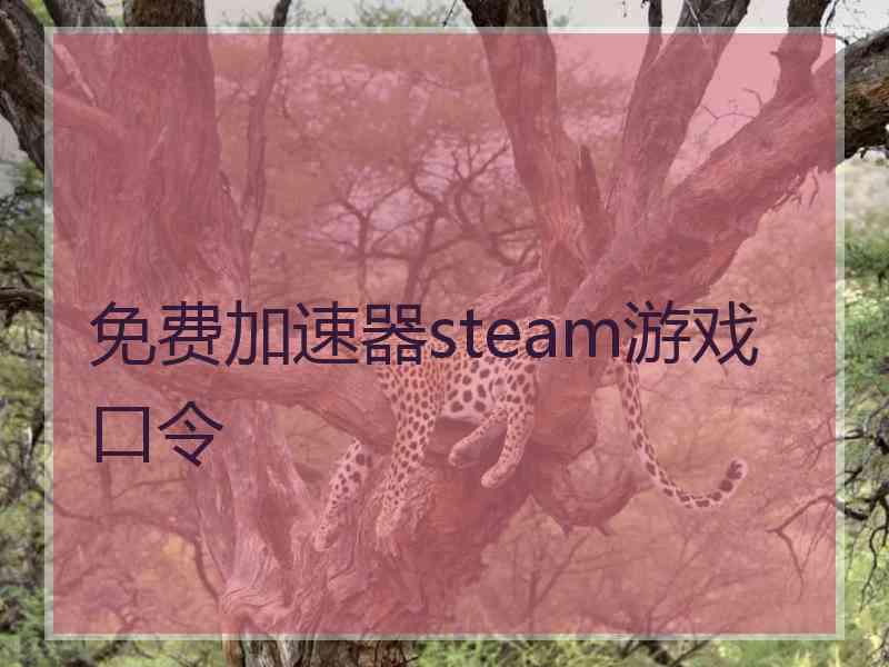 免费加速器steam游戏口令