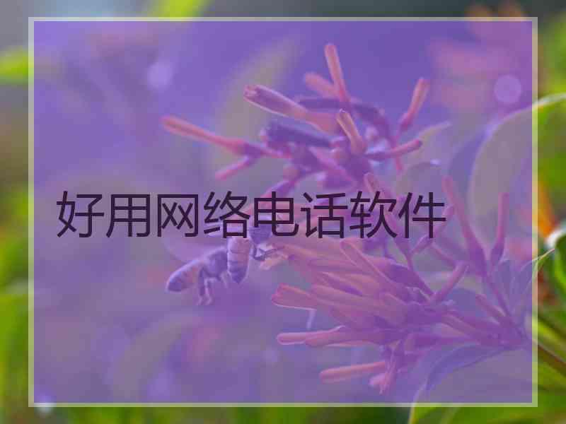 好用网络电话软件