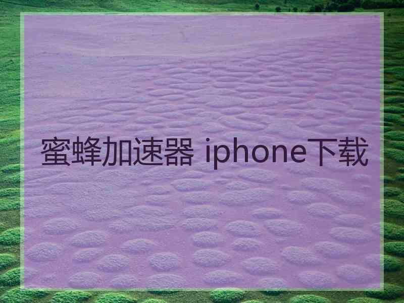 蜜蜂加速器 iphone下载