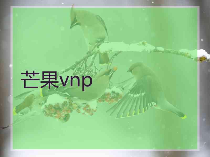 芒果vnp