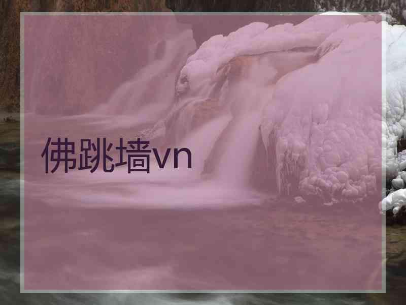 佛跳墙vn