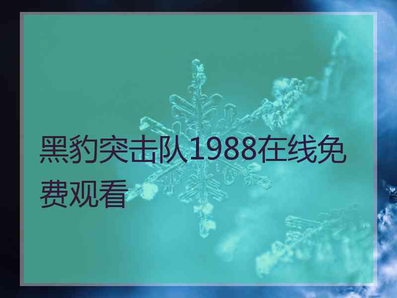 黑豹突击队1988在线免费观看