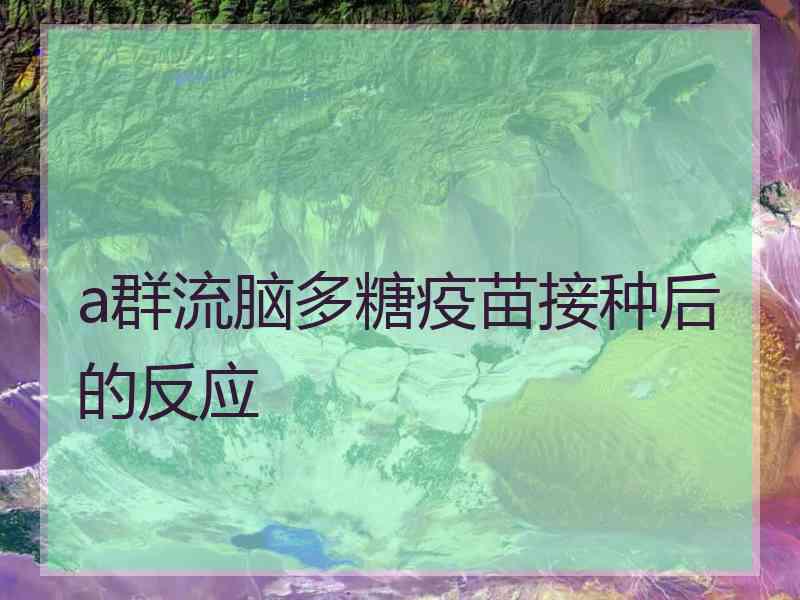 a群流脑多糖疫苗接种后的反应