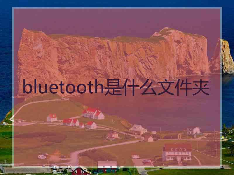 bluetooth是什么文件夹