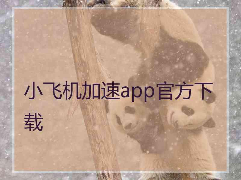 小飞机加速app官方下载