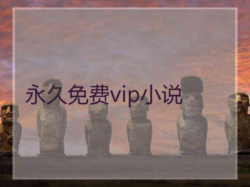 永久免费vip小说