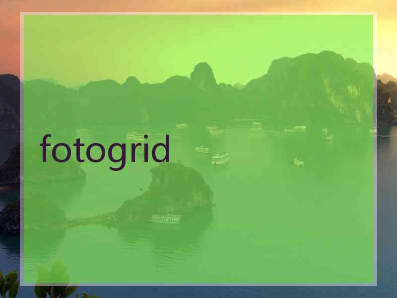 fotogrid