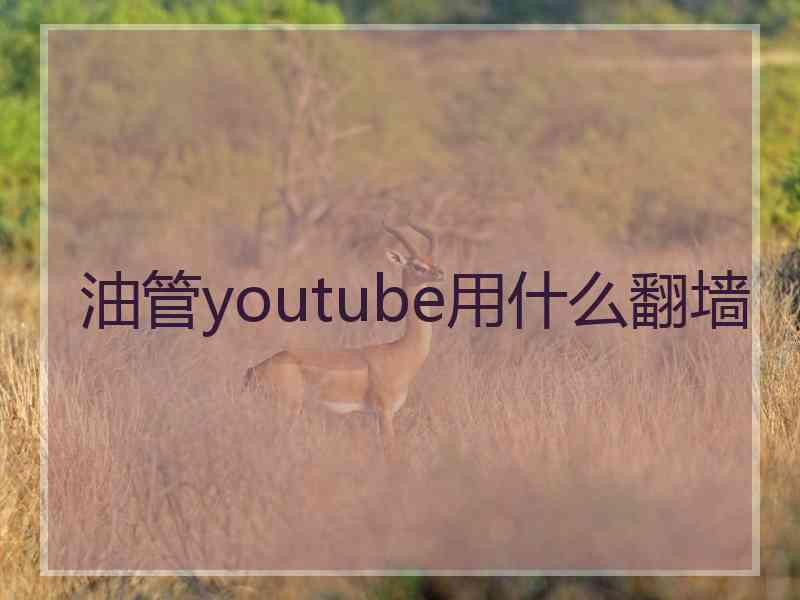 油管youtube用什么翻墙