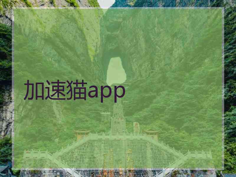 加速猫app