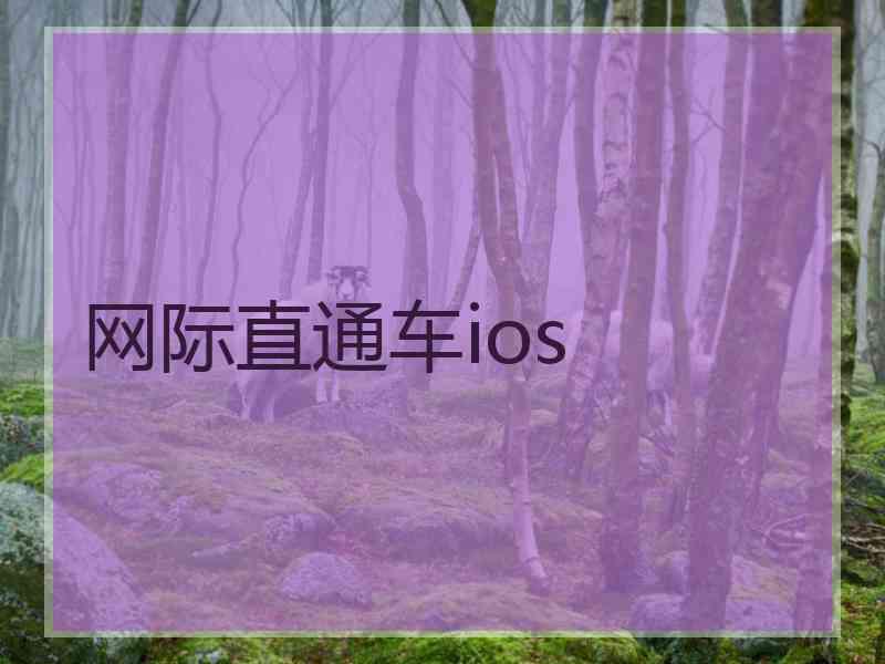 网际直通车ios