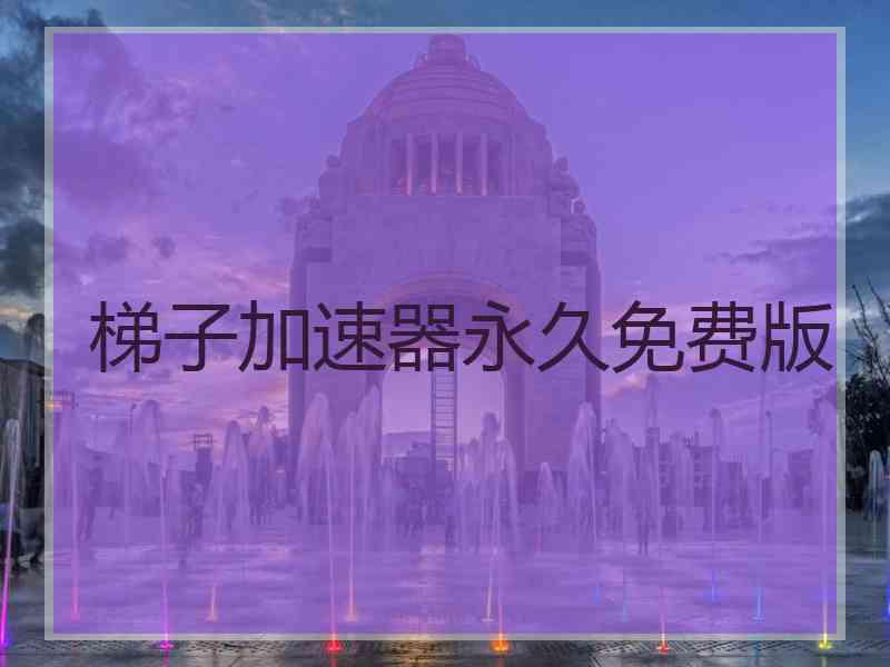 梯子加速器永久免费版