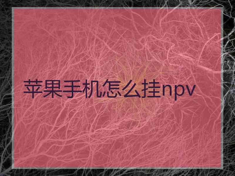 苹果手机怎么挂npv