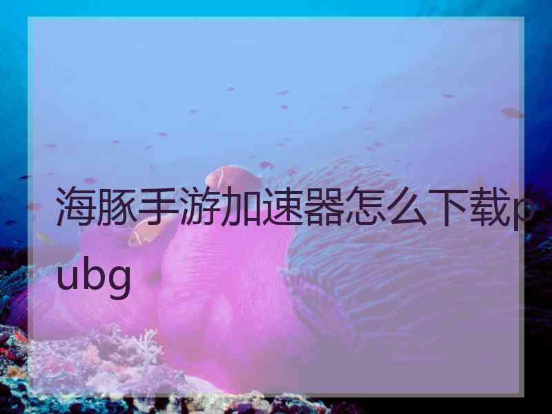 海豚手游加速器怎么下载pubg