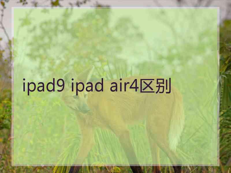 ipad9 ipad air4区别