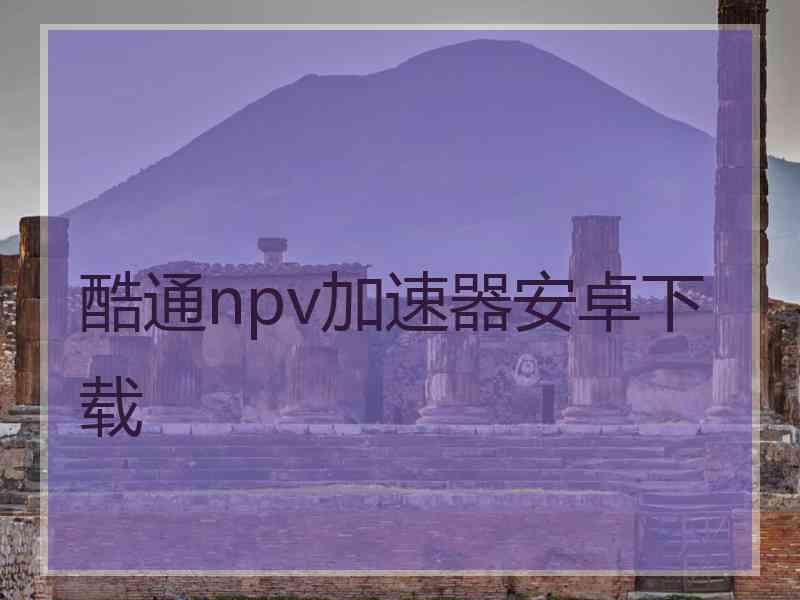 酷通npv加速器安卓下载