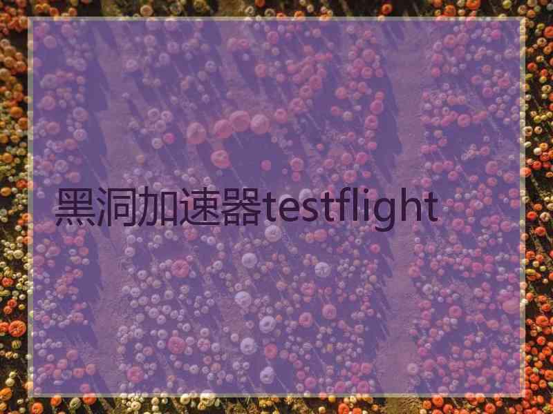 黑洞加速器testflight