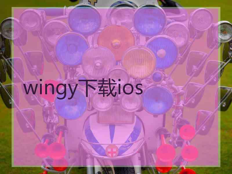wingy下载ios