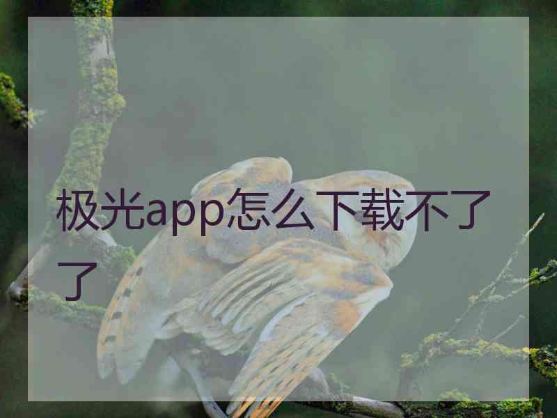 极光app怎么下载不了了